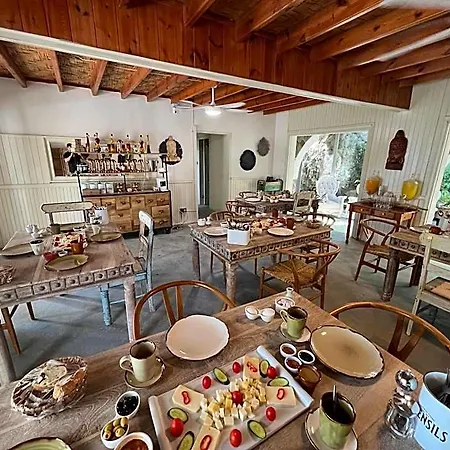 The Old Mill Hotel Lapta 3* Кирения